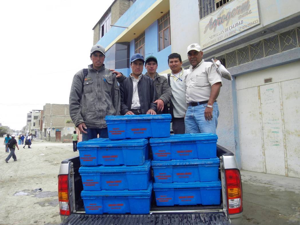 Acompañamiento a productores de “Queso Fresco Conga” en su incursión al mercado mayorista de Chiclayo.