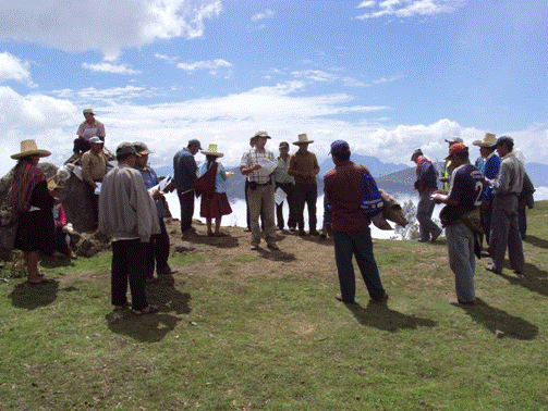Productores de aguaymanto de Cumbico – Magadalena se organizan en redes.
