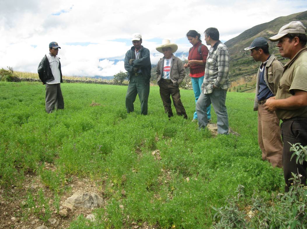 Reunión de productores de cereales y menestras la Red de Productoras de cuyes de la localidad de Pata Pata – Cajamarca