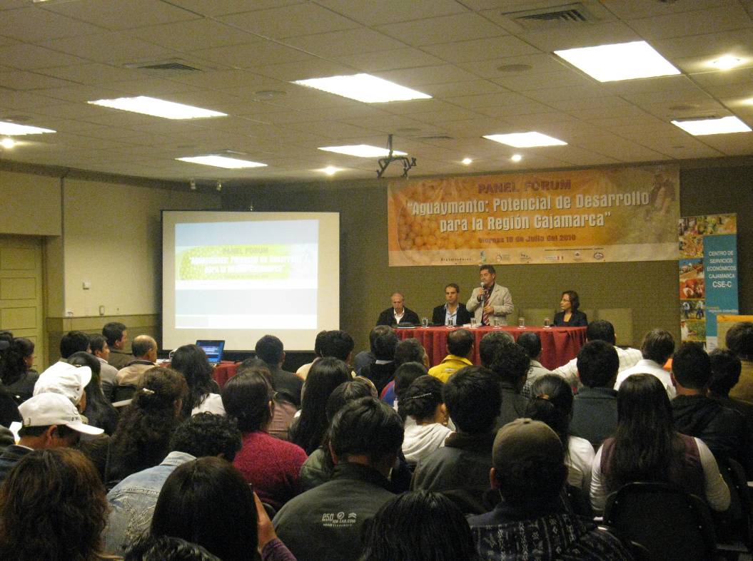 Panel Forum: “Aguaymanto: potencial de desarrollo para la Región Cajamarca, organizada por el CSE-C
