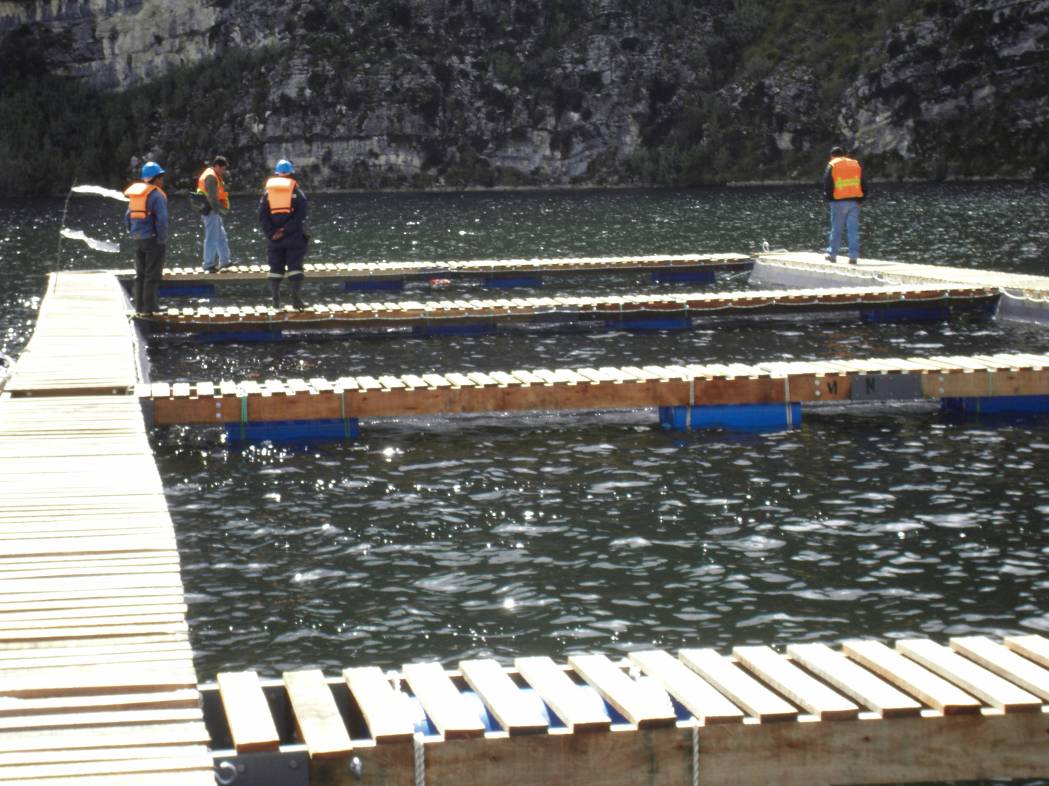 Instalación de jaulas flotantes de truchas de la Compañía Pesquera Peruana S.A.C. en la laguna de Mamacocha - Bambamarca